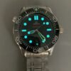 Omega Seamaster 210.30.42.20.01.001(4)